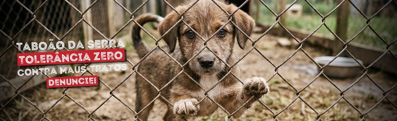 Taboão da Serra — Tolerância Zero contra Maus-Tratos. Denuncie!